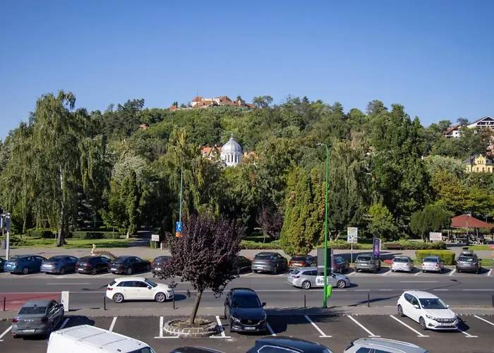 Apartment La Maman- Only Self Check-in Brasov